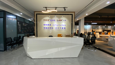 Guangdong Esun Furniture Technology Company Limited